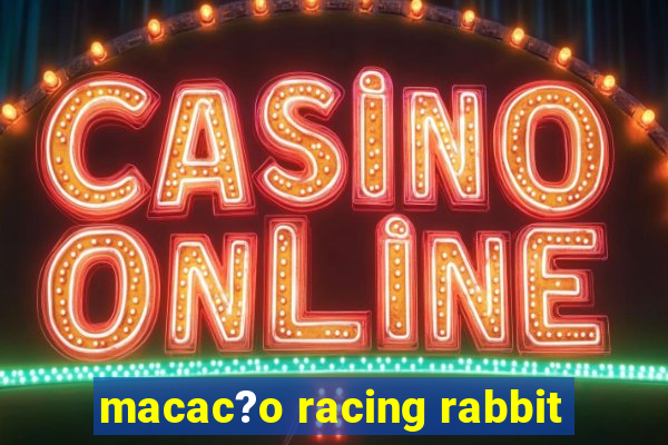 macac?o racing rabbit