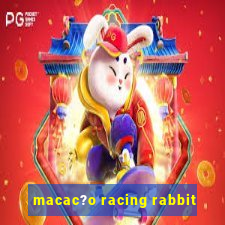 macac?o racing rabbit