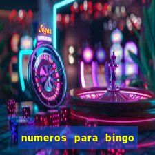 numeros para bingo de 1 a 100