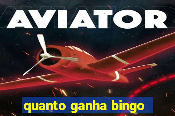 quanto ganha bingo