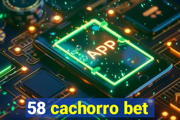 58 cachorro bet