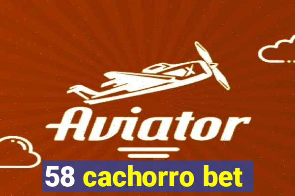 58 cachorro bet