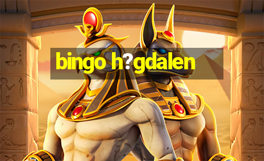 bingo h?gdalen