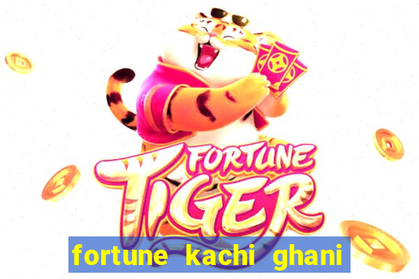 fortune kachi ghani oil 15kg tin online