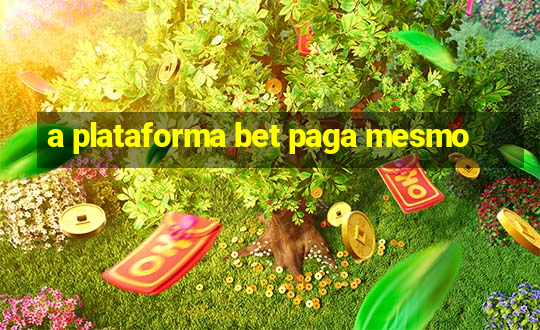 a plataforma bet paga mesmo