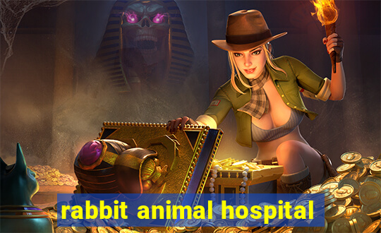 rabbit animal hospital