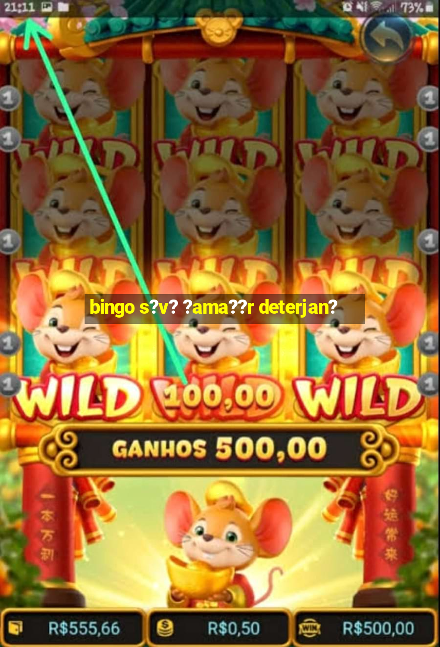 bingo s?v? ?ama??r deterjan?