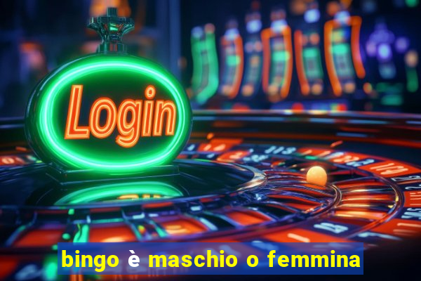 bingo è maschio o femmina