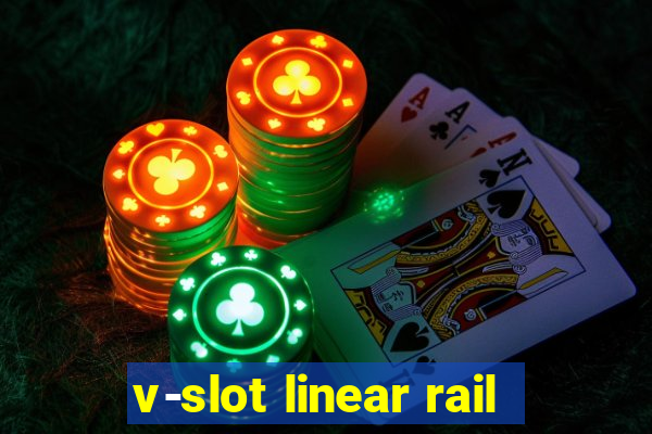 v-slot linear rail