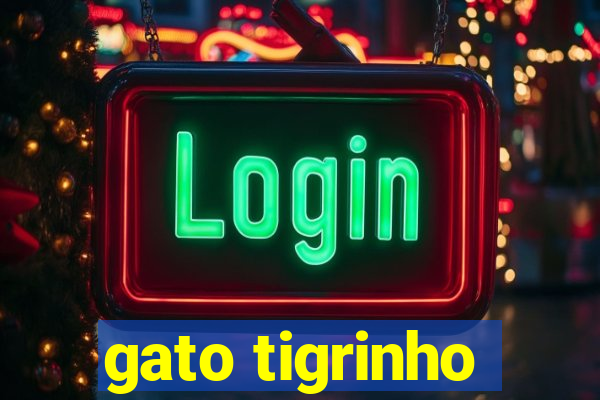 gato tigrinho