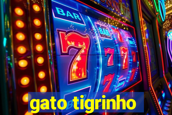 gato tigrinho