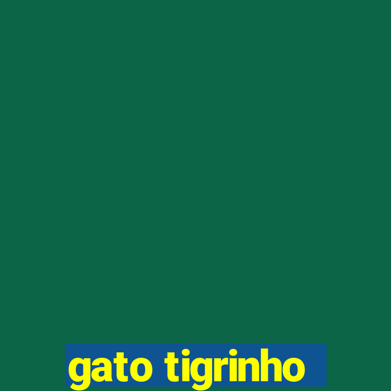 gato tigrinho