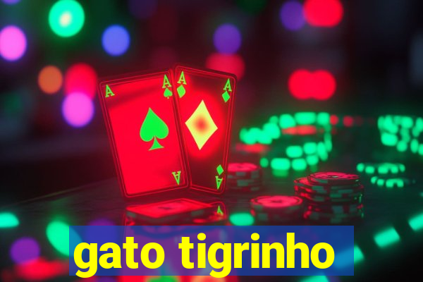 gato tigrinho