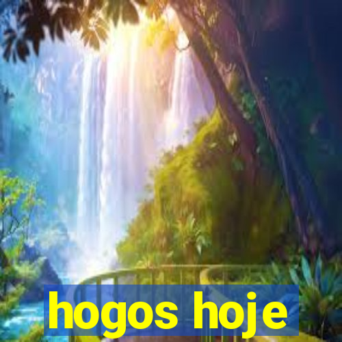 hogos hoje