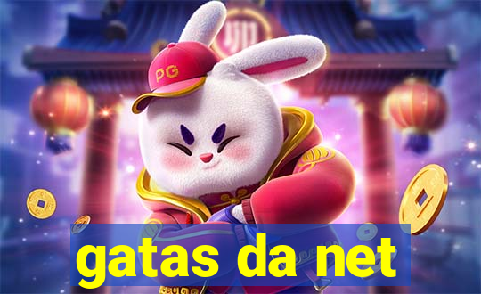 gatas da net