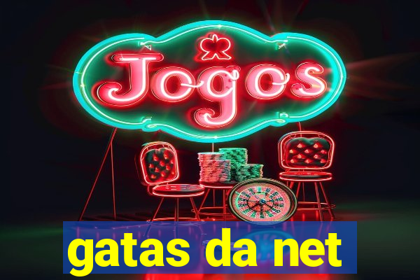 gatas da net