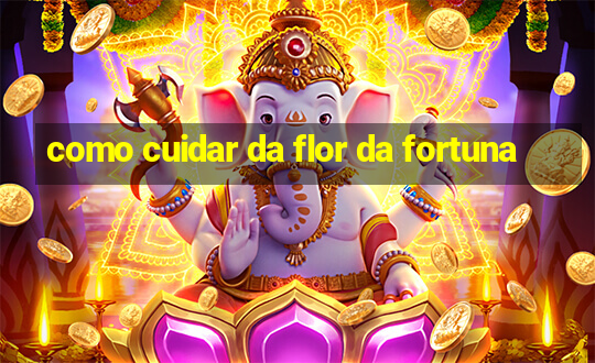 como cuidar da flor da fortuna