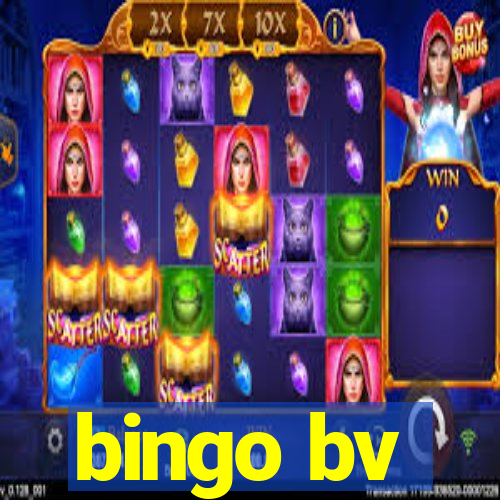 bingo bv