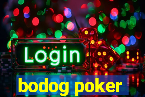 bodog poker