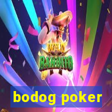 bodog poker