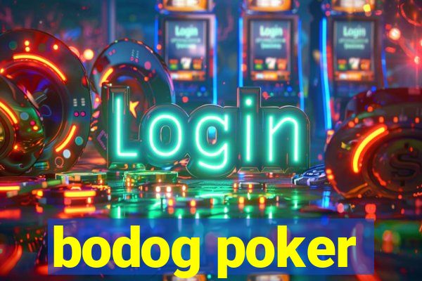 bodog poker