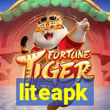 liteapk