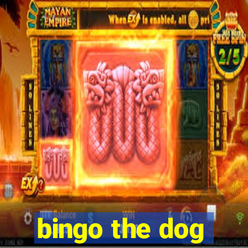 bingo the dog