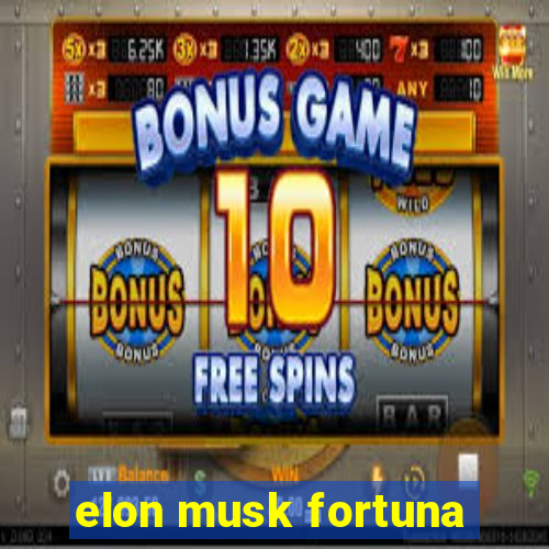 elon musk fortuna