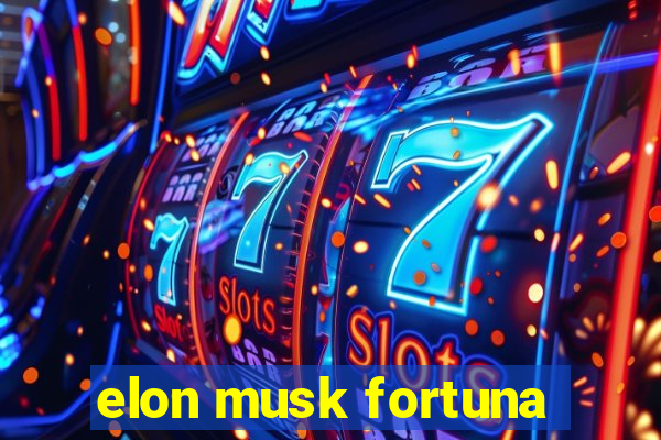 elon musk fortuna