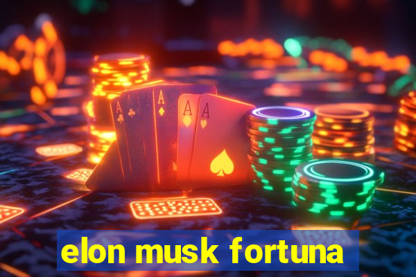 elon musk fortuna