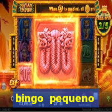 bingo pequeno cotolengo 2023