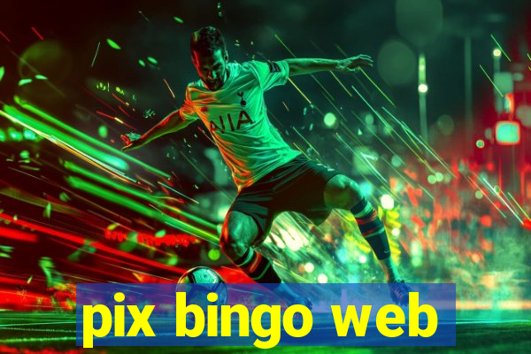 pix bingo web