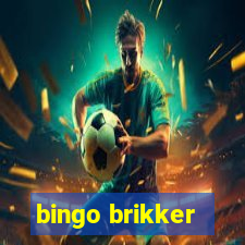 bingo brikker