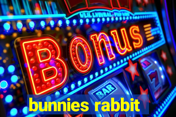 bunnies rabbit