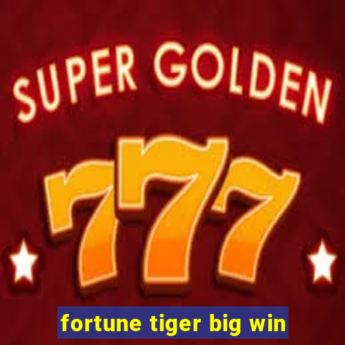 fortune tiger big win