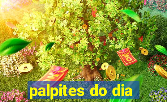 palpites do dia