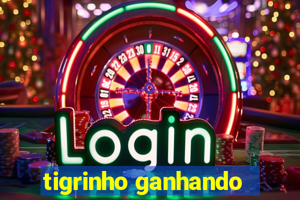 tigrinho ganhando