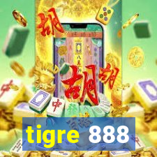 tigre 888