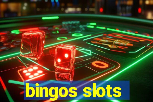 bingos slots