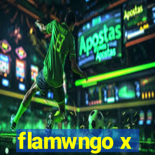 flamwngo x