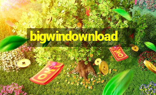 bigwindownload