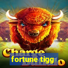 fortune tigg