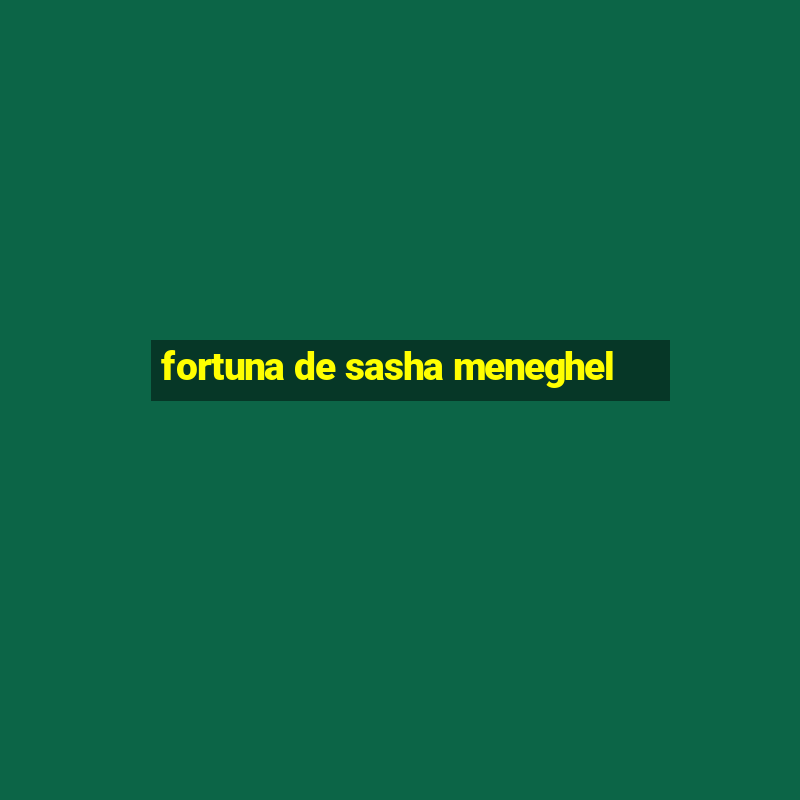 fortuna de sasha meneghel