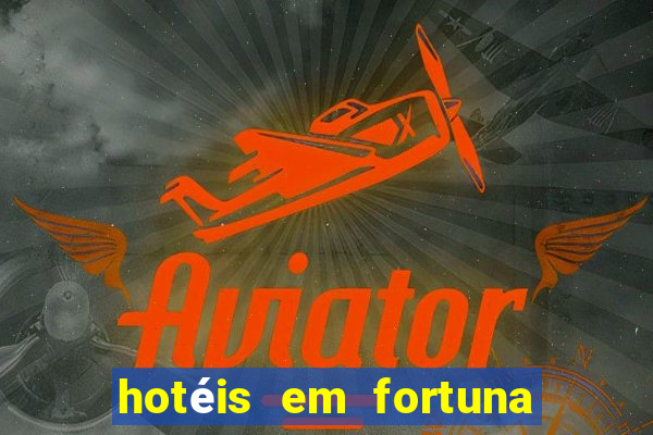 hotéis em fortuna de minas