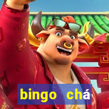 bingo chá revela??o pdf