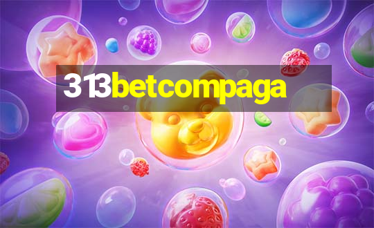 313betcompaga