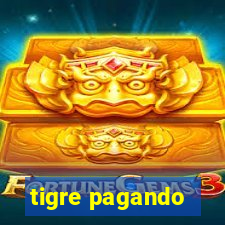 tigre pagando