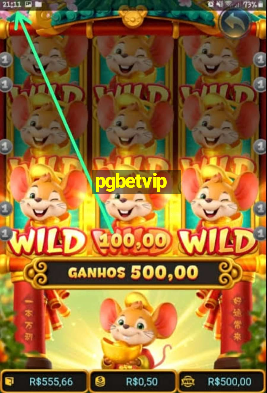 pgbetvip