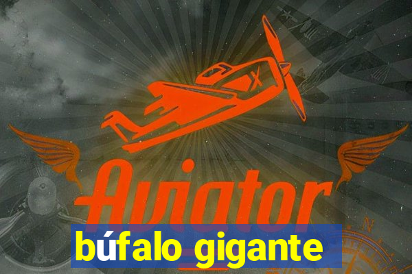 búfalo gigante