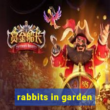 rabbits in garden